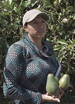Pilar, agrónoma