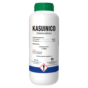 Kasuinico