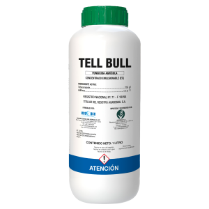 Tell Bull