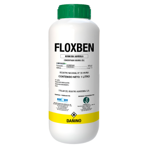 Floxben